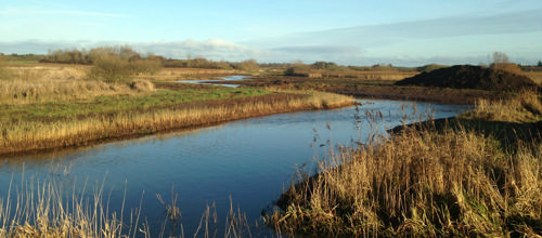 Genslynget Hover Å indvies med løjer og ørred-yngel